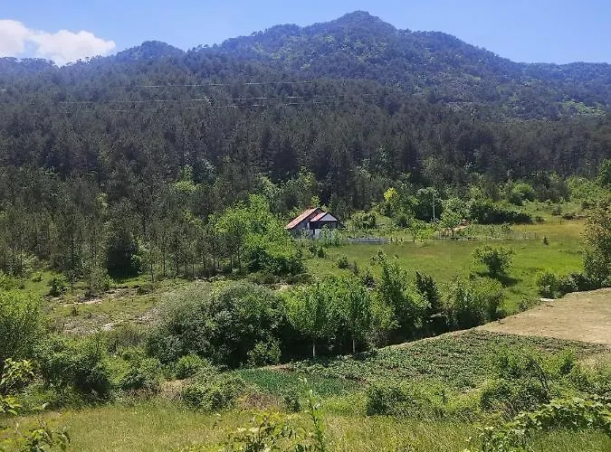 - Vikendica Vukovic *